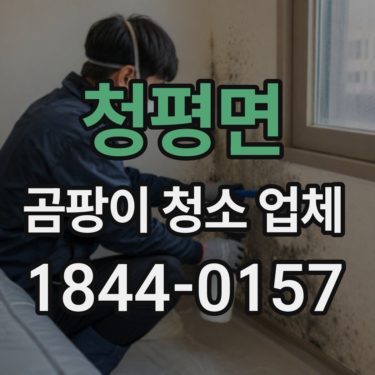 청평면 곰팡이 청소 업체