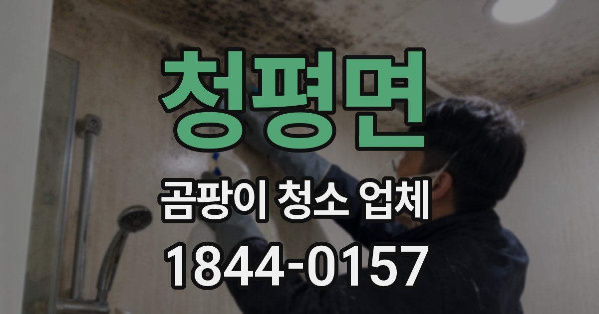 청평면 곰팡이 청소 업체