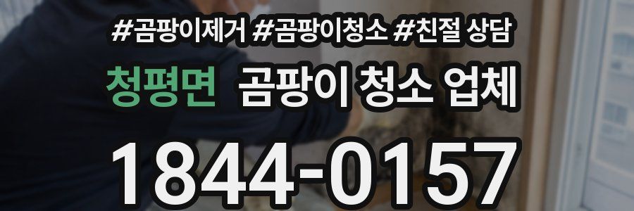 청평면 곰팡이 청소 업체