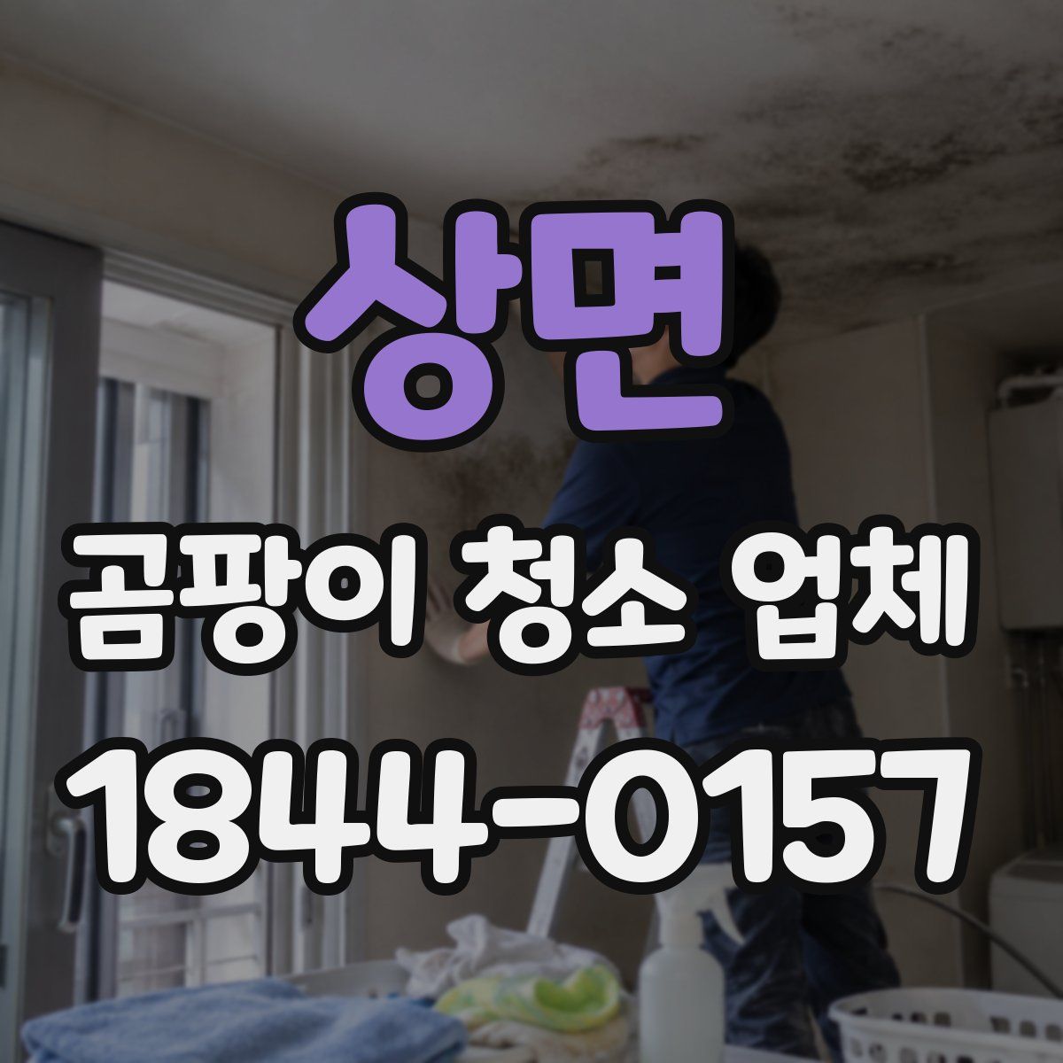 상면 곰팡이 청소 업체