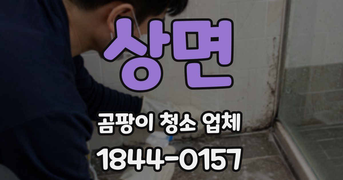 상면 곰팡이 청소 업체