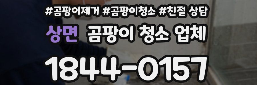 상면 곰팡이 청소 업체