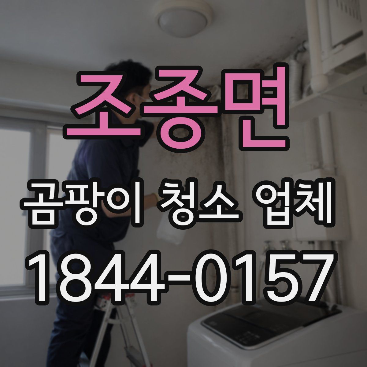 조종면 곰팡이 청소 업체