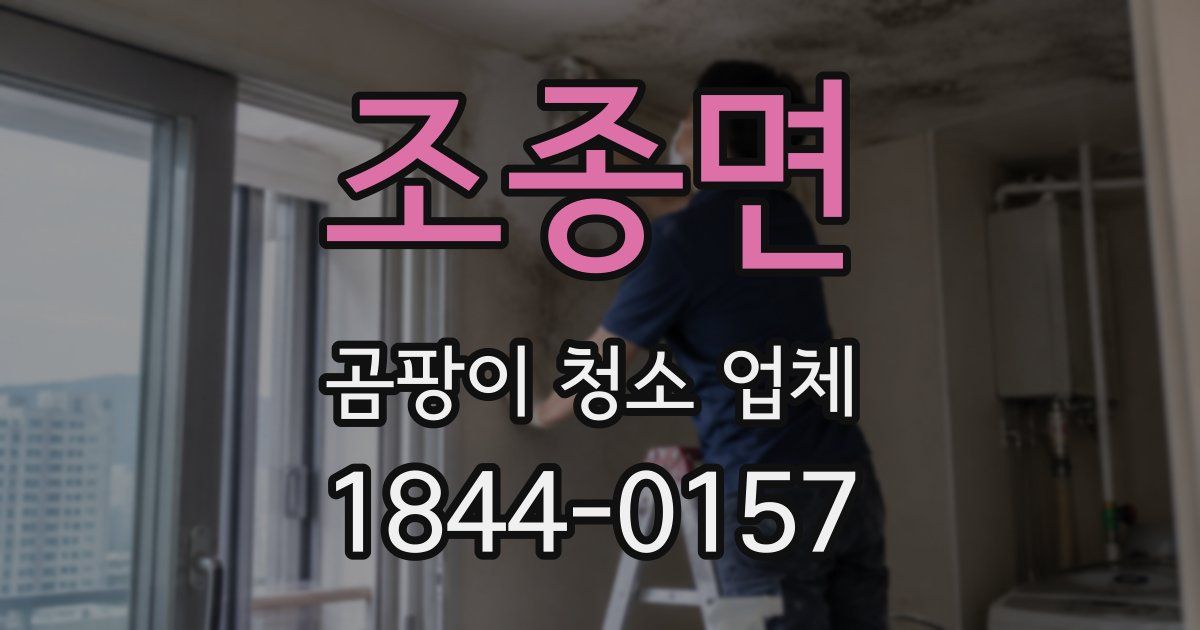 조종면 곰팡이 청소 업체