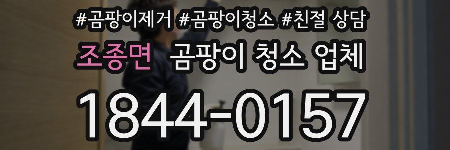 조종면 곰팡이 청소 업체