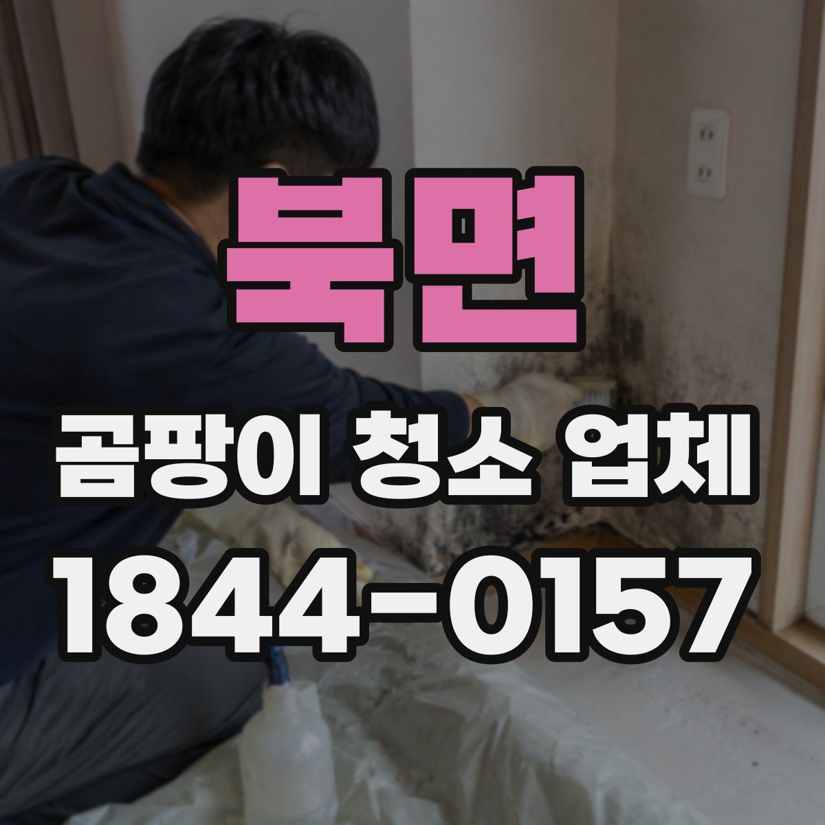 북면 곰팡이 청소 업체