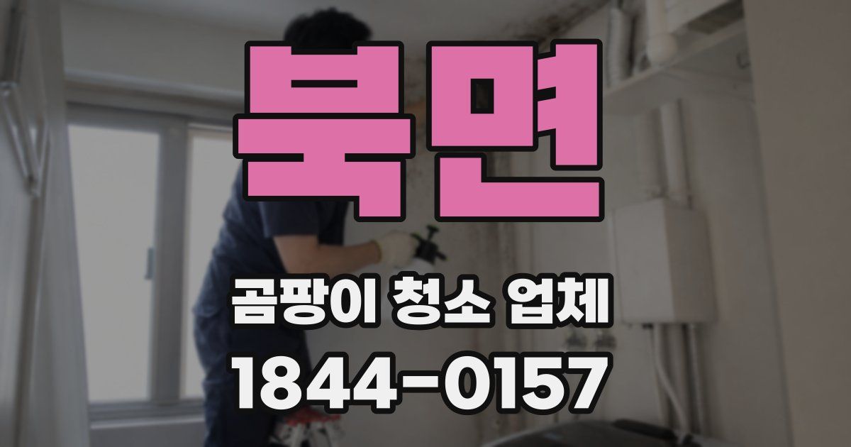 북면 곰팡이 청소 업체