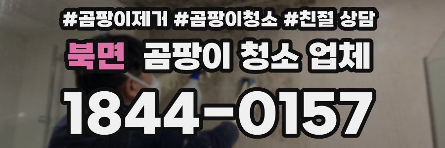 북면 곰팡이 청소 업체