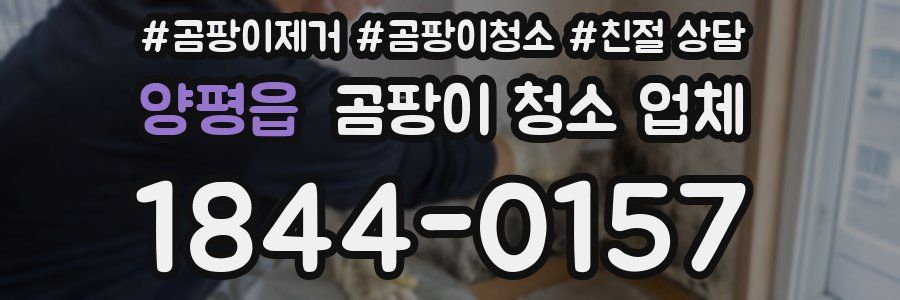 양평읍 곰팡이 청소 업체