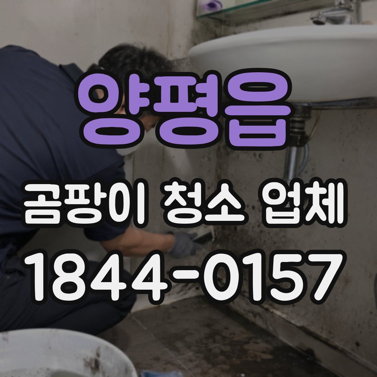 양평읍 곰팡이 청소 업체