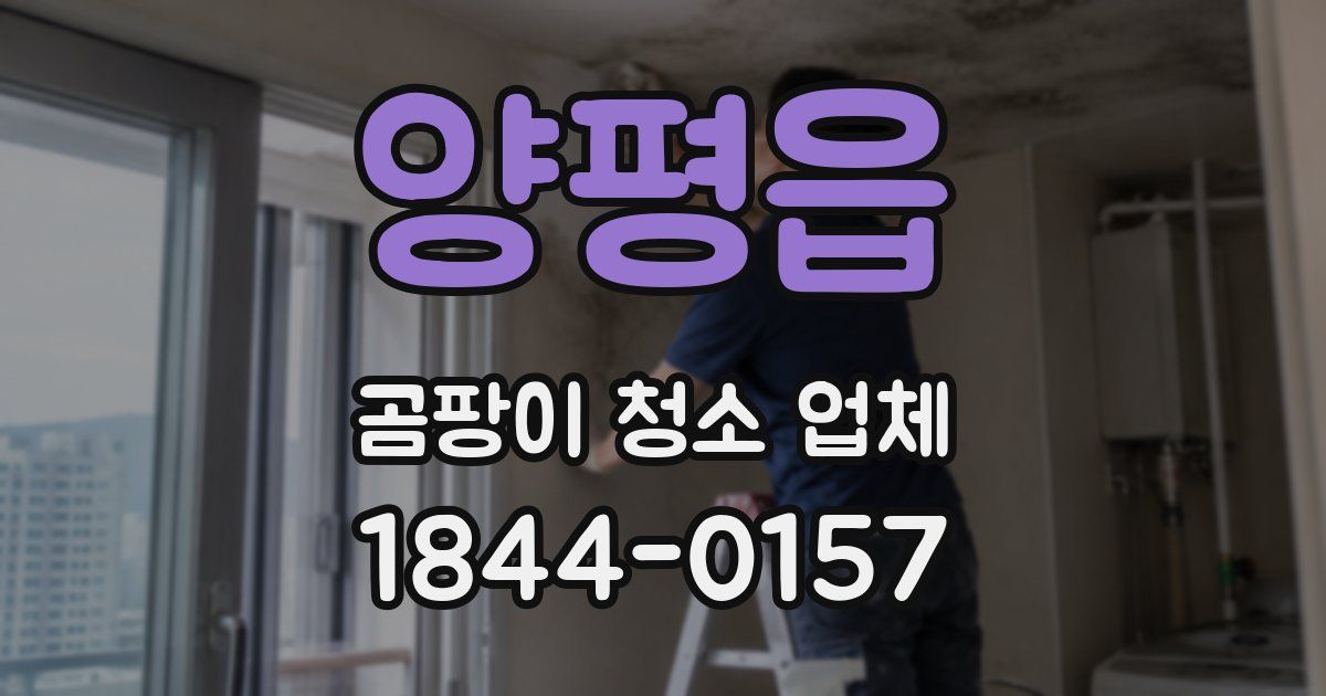 양평읍 곰팡이 청소 업체