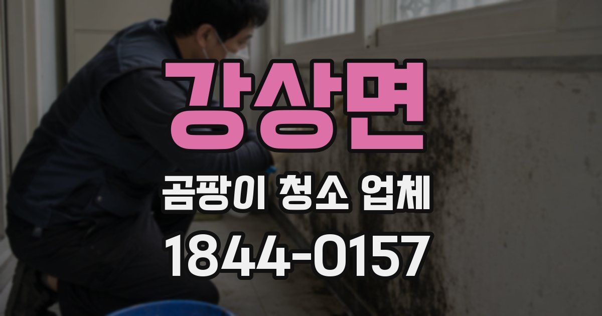 강상면 곰팡이 청소 업체