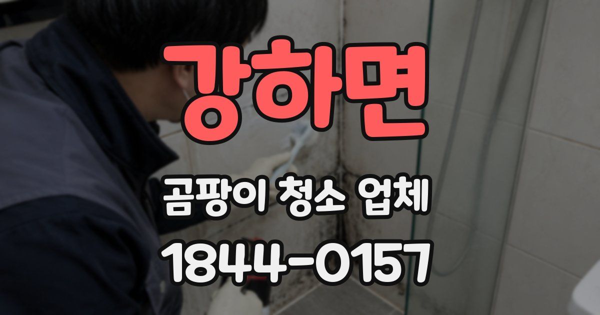 강하면 곰팡이 청소 업체