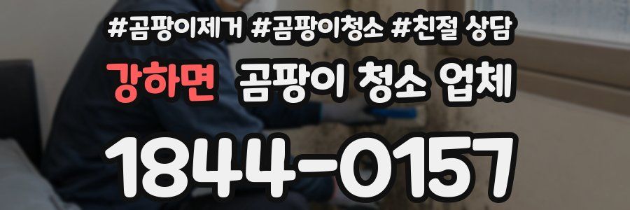 강하면 곰팡이 청소 업체