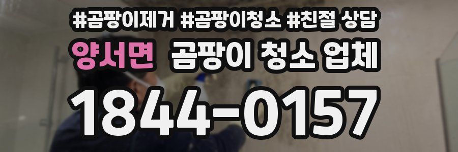 양서면 곰팡이 청소 업체