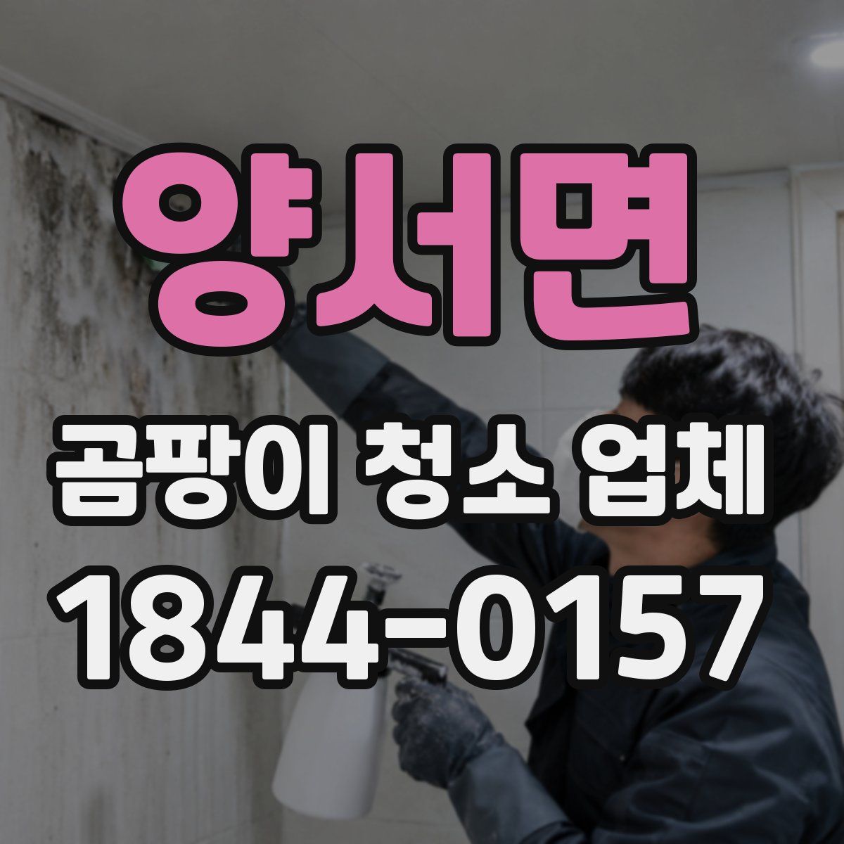 양서면 곰팡이 청소 업체