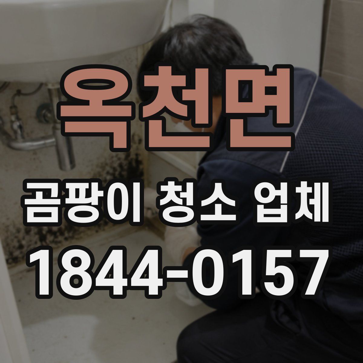 옥천면 곰팡이 청소 업체