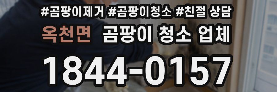 옥천면 곰팡이 청소 업체