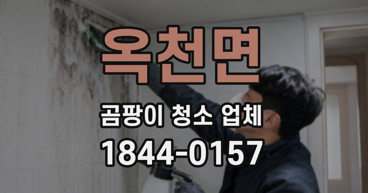 옥천면 곰팡이 청소 업체