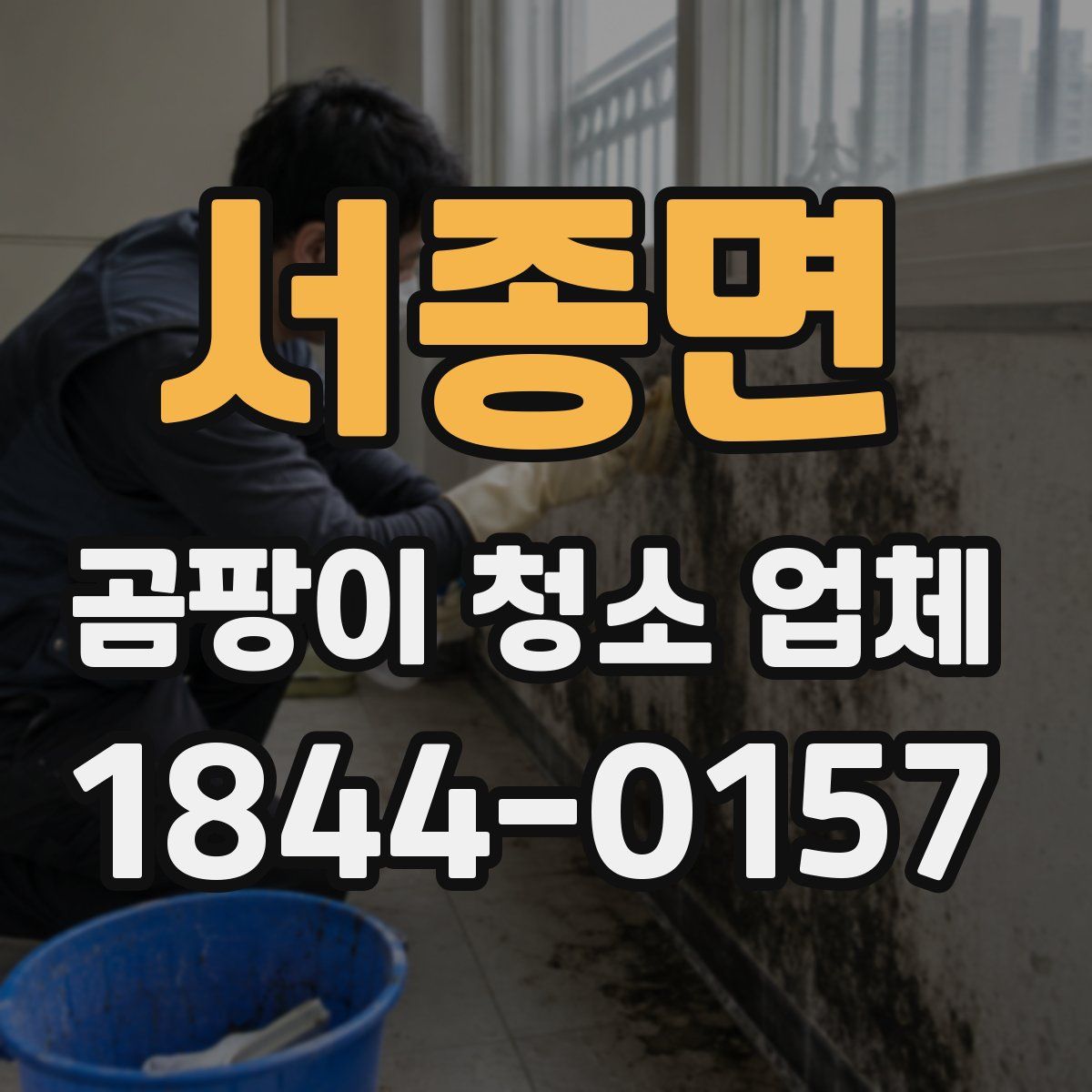 서종면 곰팡이 청소 업체