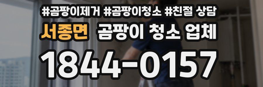 서종면 곰팡이 청소 업체