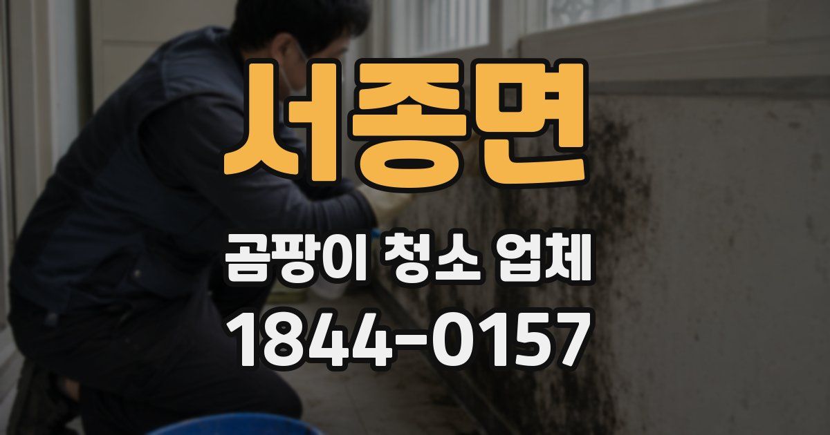 서종면 곰팡이 청소 업체