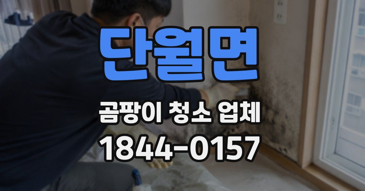 단월면 곰팡이 청소 업체