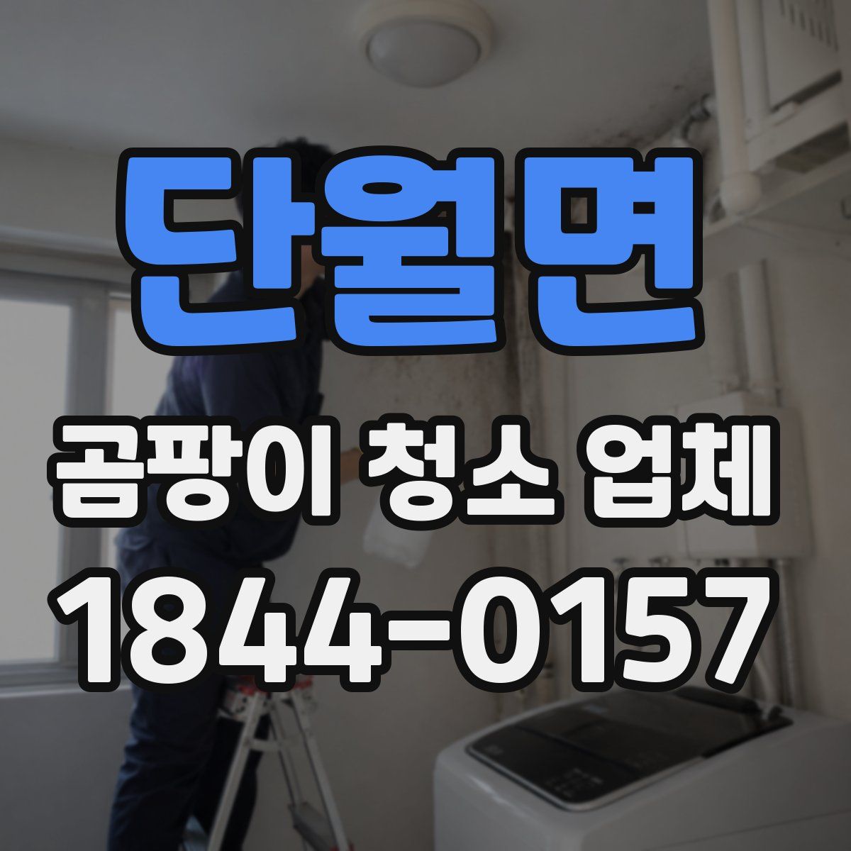 단월면 곰팡이 청소 업체