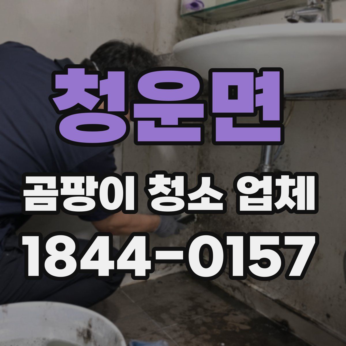 청운면 곰팡이 청소 업체