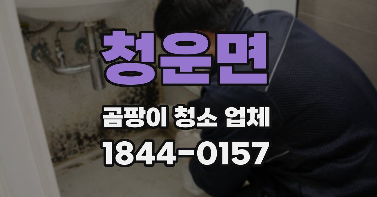 청운면 곰팡이 청소 업체