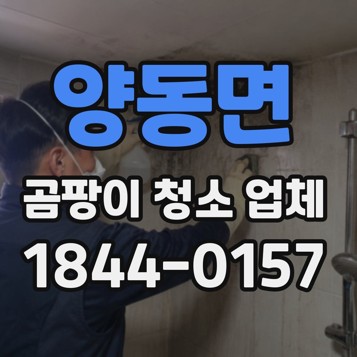 양동면 곰팡이 청소 업체