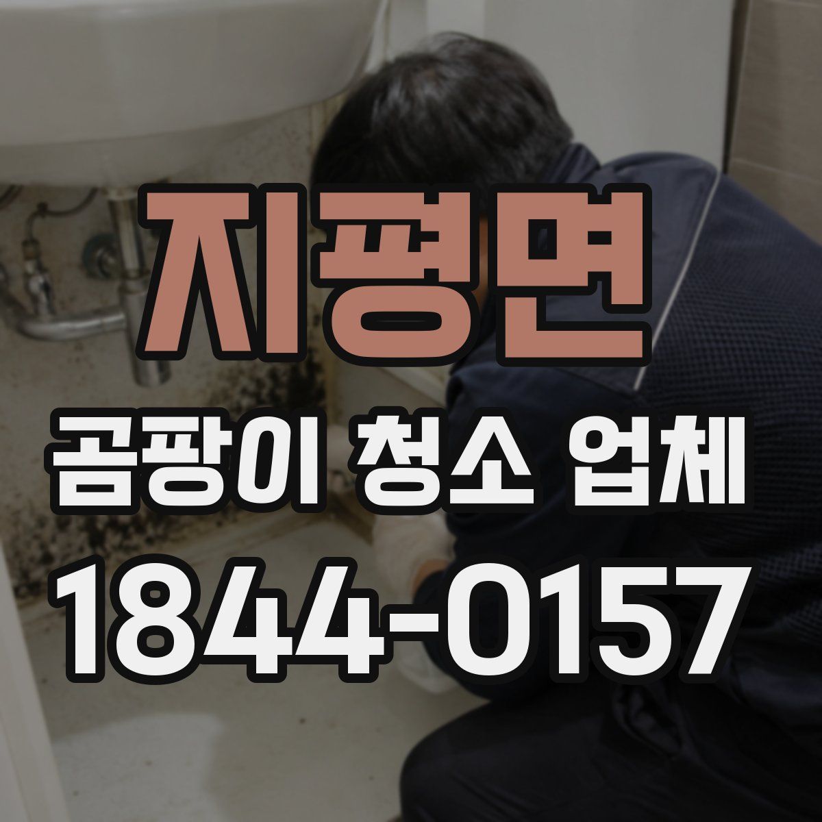 지평면 곰팡이 청소 업체