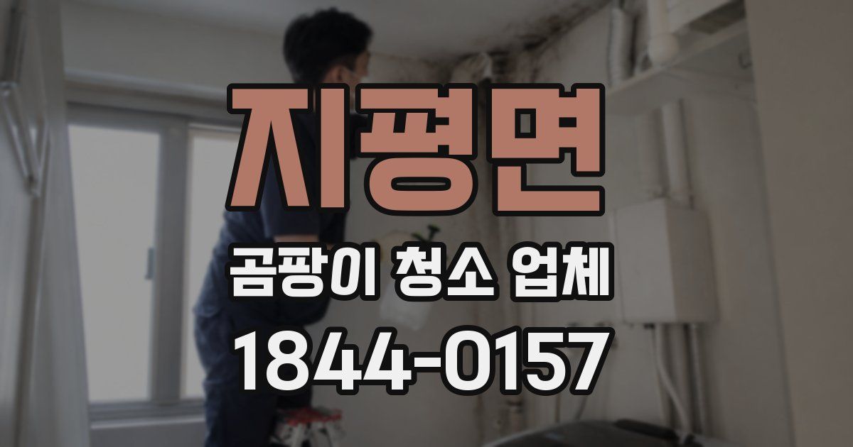 지평면 곰팡이 청소 업체
