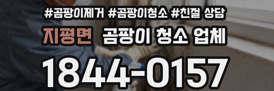 지평면 곰팡이 청소 업체
