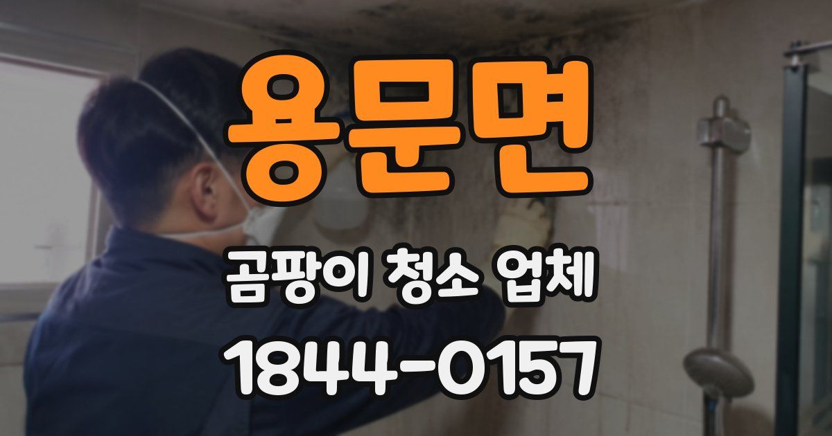 용문면 곰팡이 청소 업체
