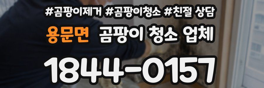 용문면 곰팡이 청소 업체