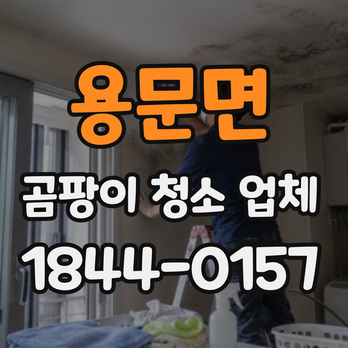 용문면 곰팡이 청소 업체
