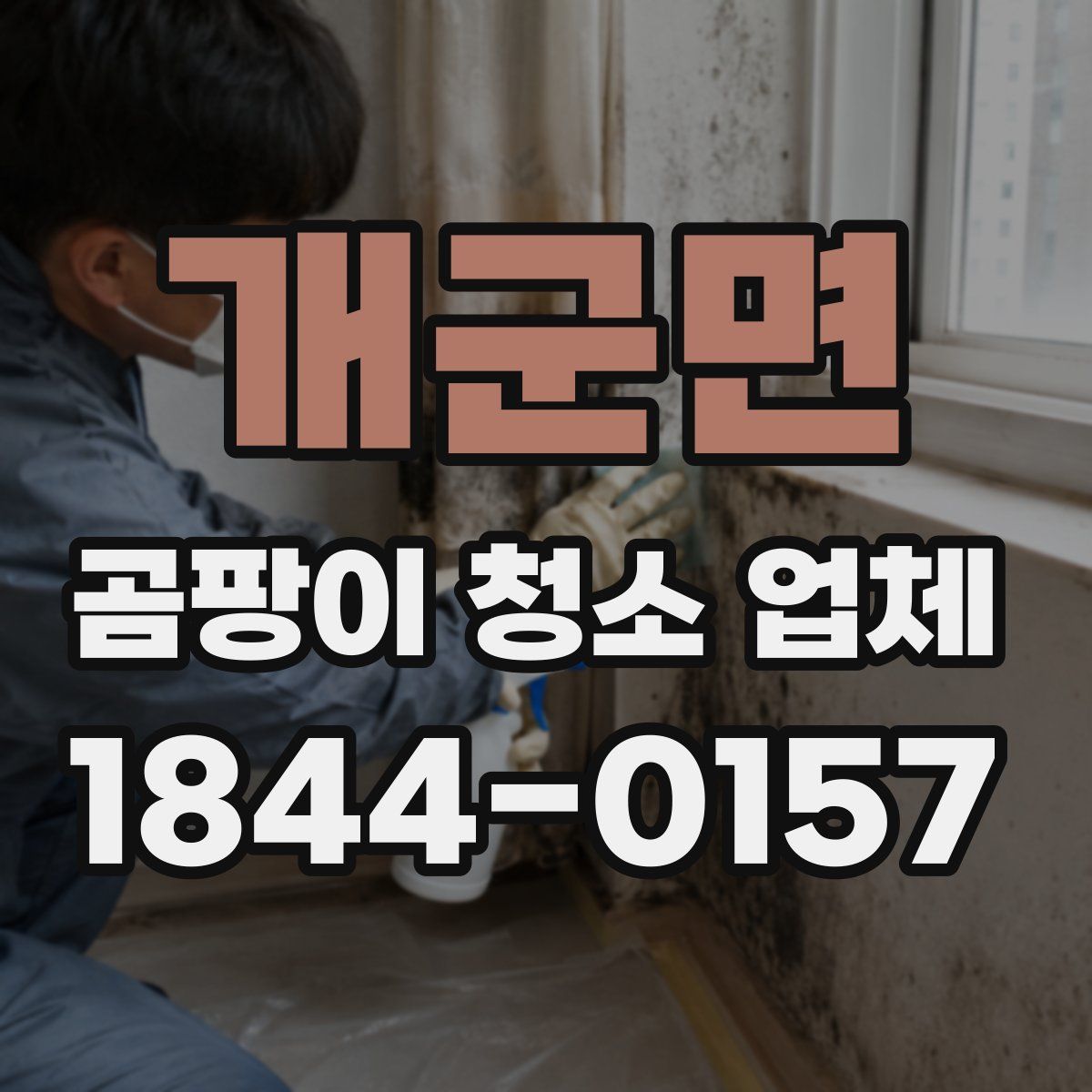 개군면 곰팡이 청소 업체