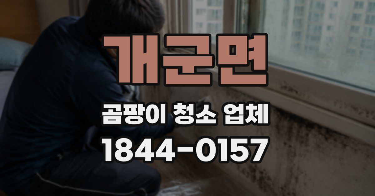 개군면 곰팡이 청소 업체