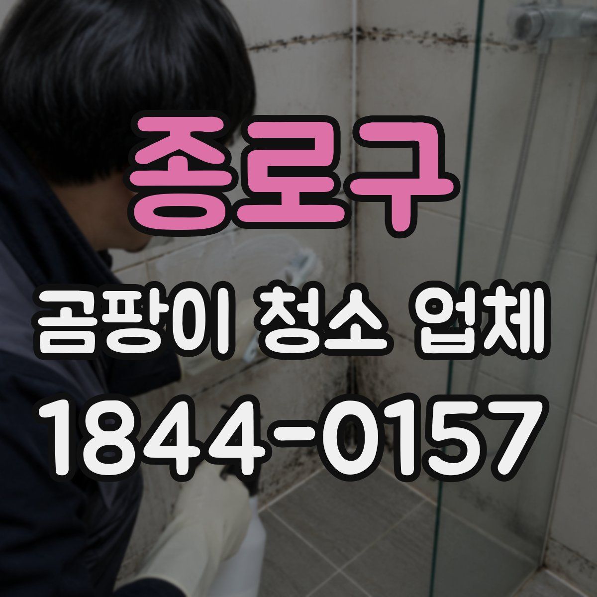 종로구 곰팡이 청소 업체