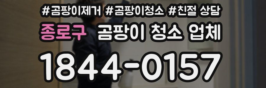 종로구 곰팡이 청소 업체