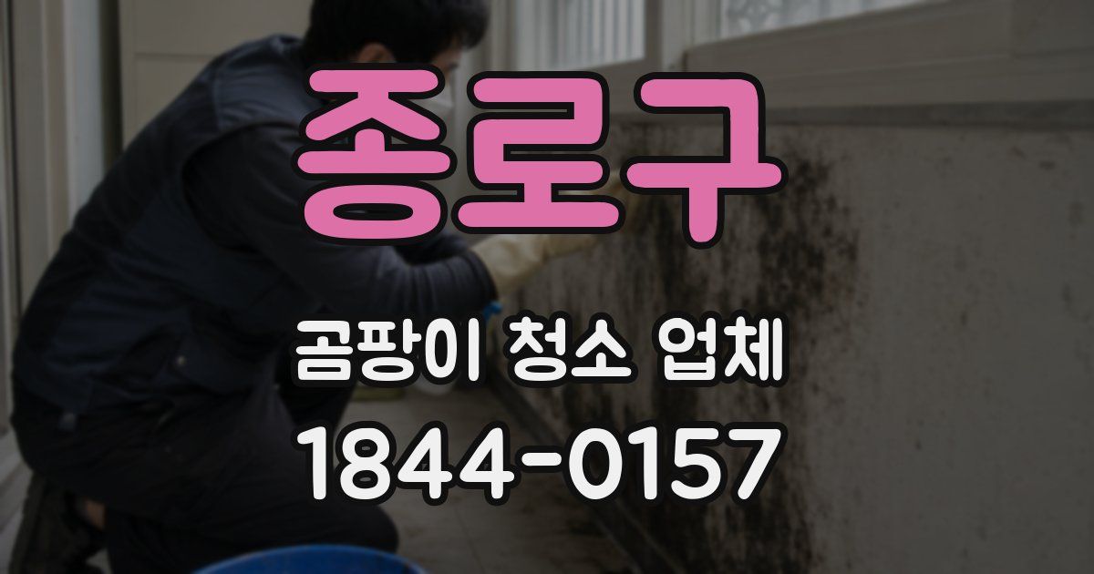 종로구 곰팡이 청소 업체