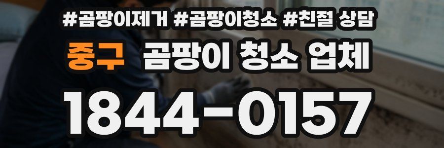 중구 곰팡이 청소 업체