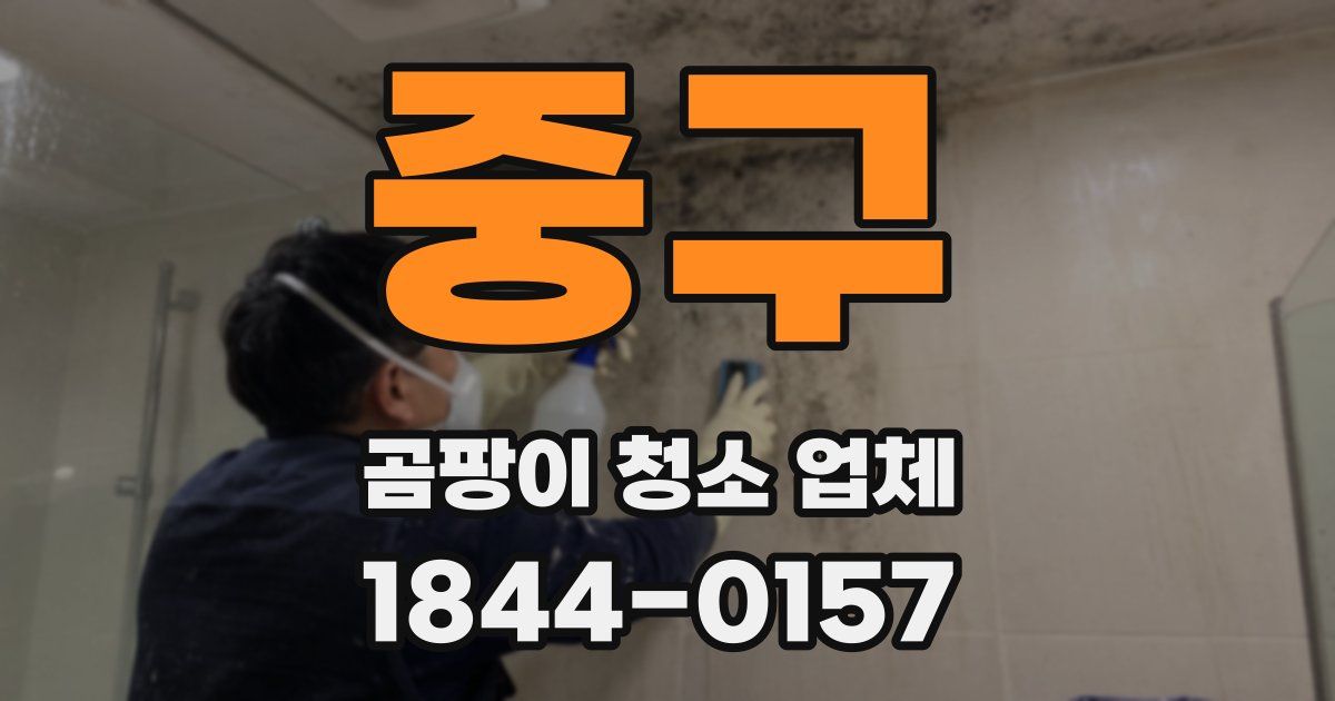 중구 곰팡이 청소 업체