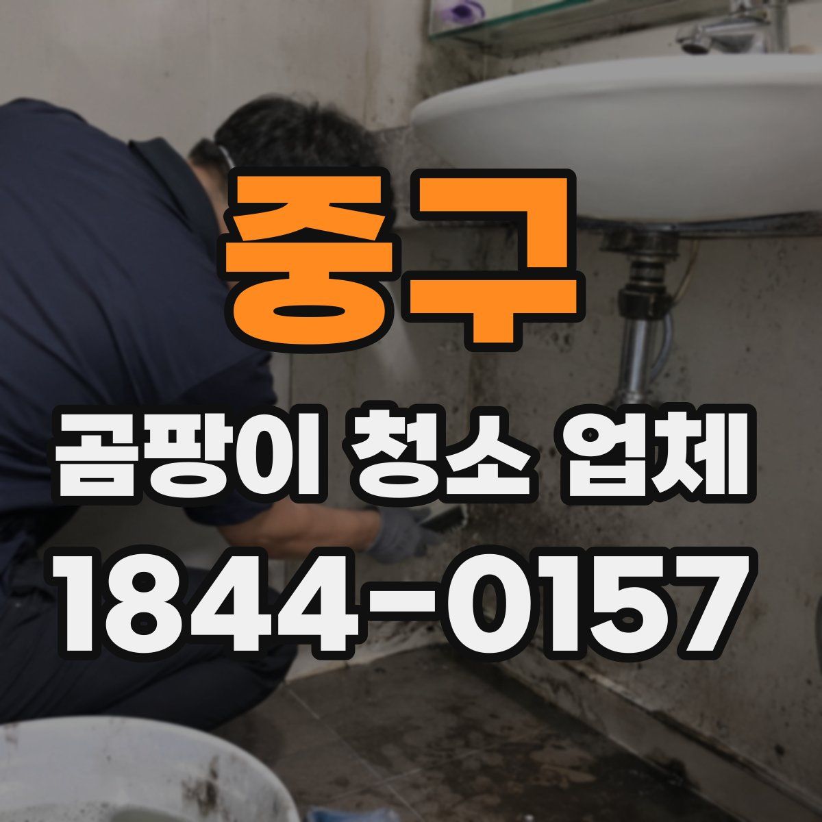중구 곰팡이 청소 업체