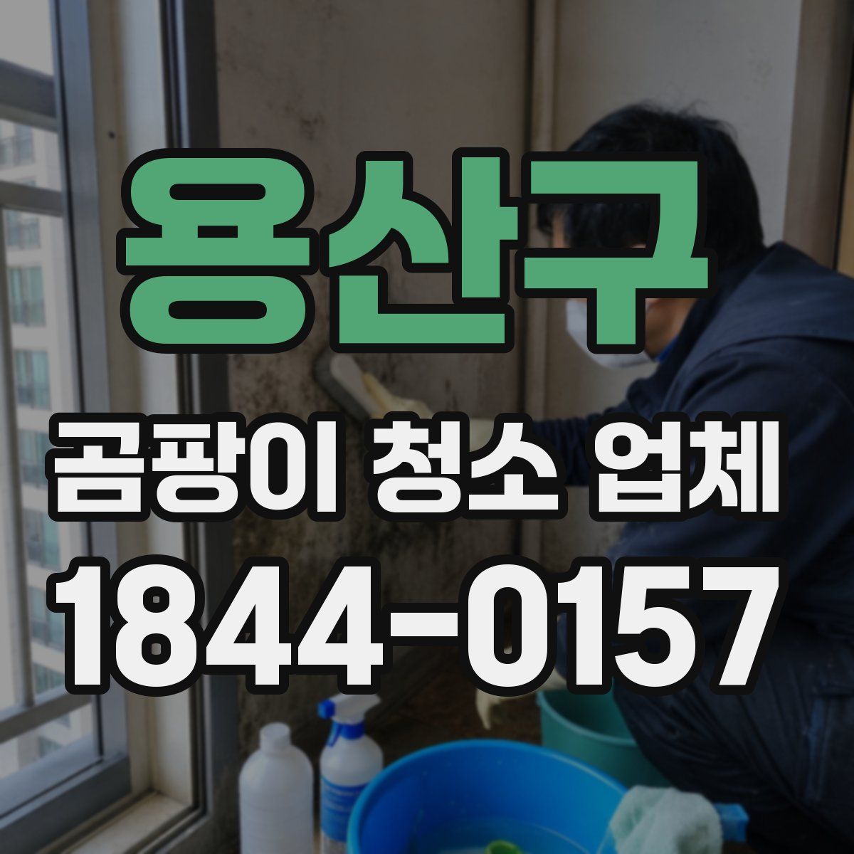 용산구 곰팡이 청소 업체