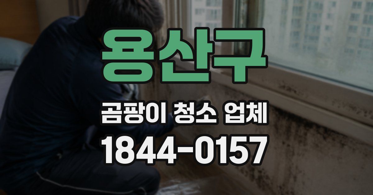 용산구 곰팡이 청소 업체