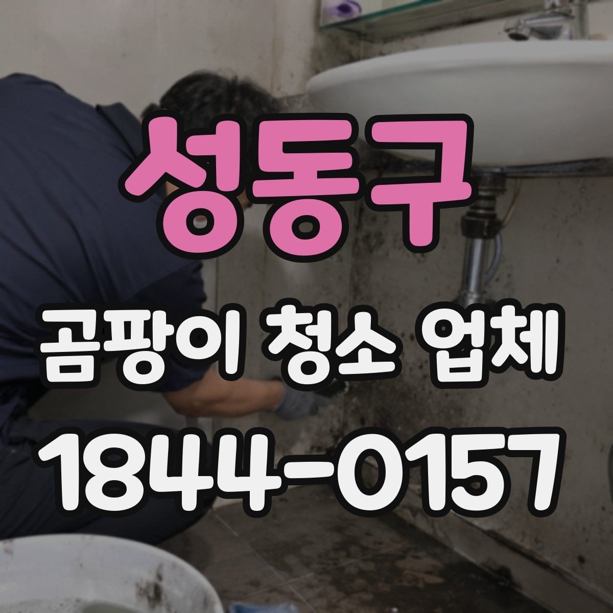 성동구 곰팡이 청소 업체 의뢰 전 자가 진단 체크포인트