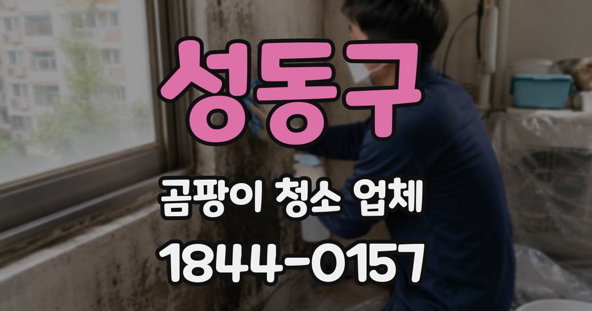 성동구 곰팡이 청소 업체