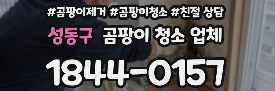 성동구 곰팡이 청소 업체